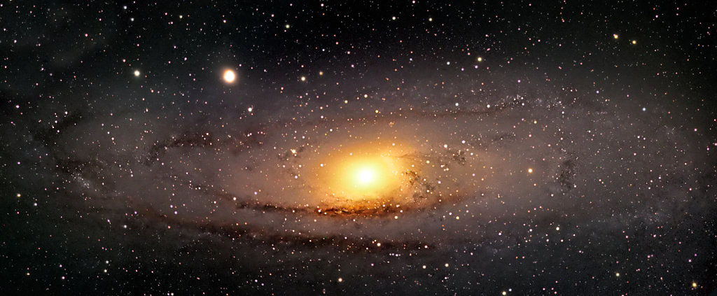 Andromeda Udukogu