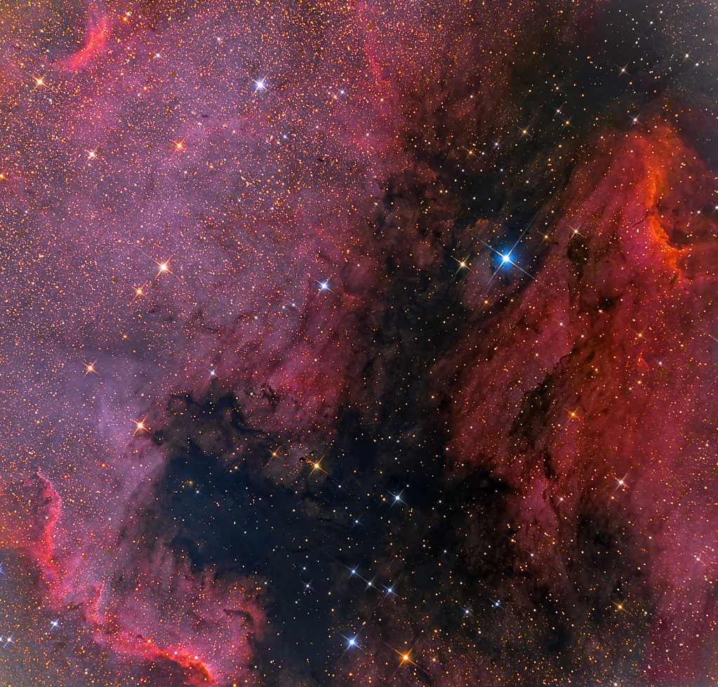 The Pelican and North America nebula