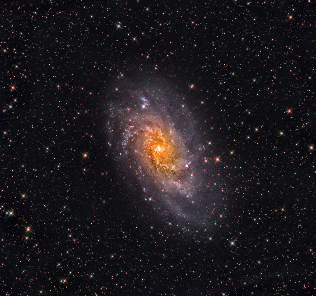 Triangulum Galaxy, M33