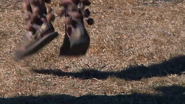 Otsides Valgust - Looking for a Light (eng, subs)